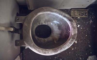 افضل 10 منظفات مرحاض في 2025