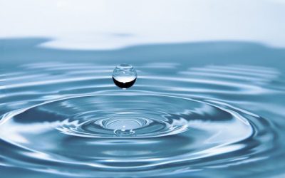 افضل 6 اجهزة قياس ملوحة الماء في 2025