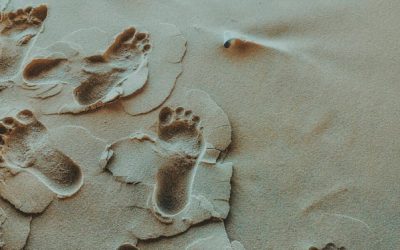 افضل 7 اجهزة مساج للقدم في 2025